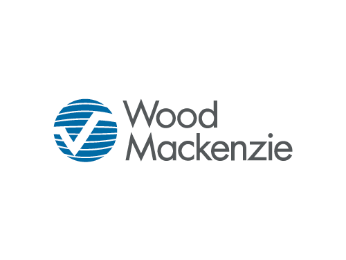 Wood mackenzie energy storage series: panel discussion: li-ion – why alternative battery chemistries hold the key to the future of energy storage | eric dresselhuys