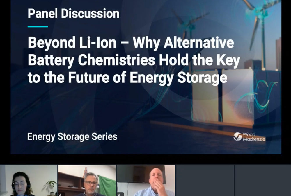 Wood mackenzie energy storage series: panel discussion: li-ion – why alternative battery chemistries hold the key to the future of energy storage | eric dresselhuys