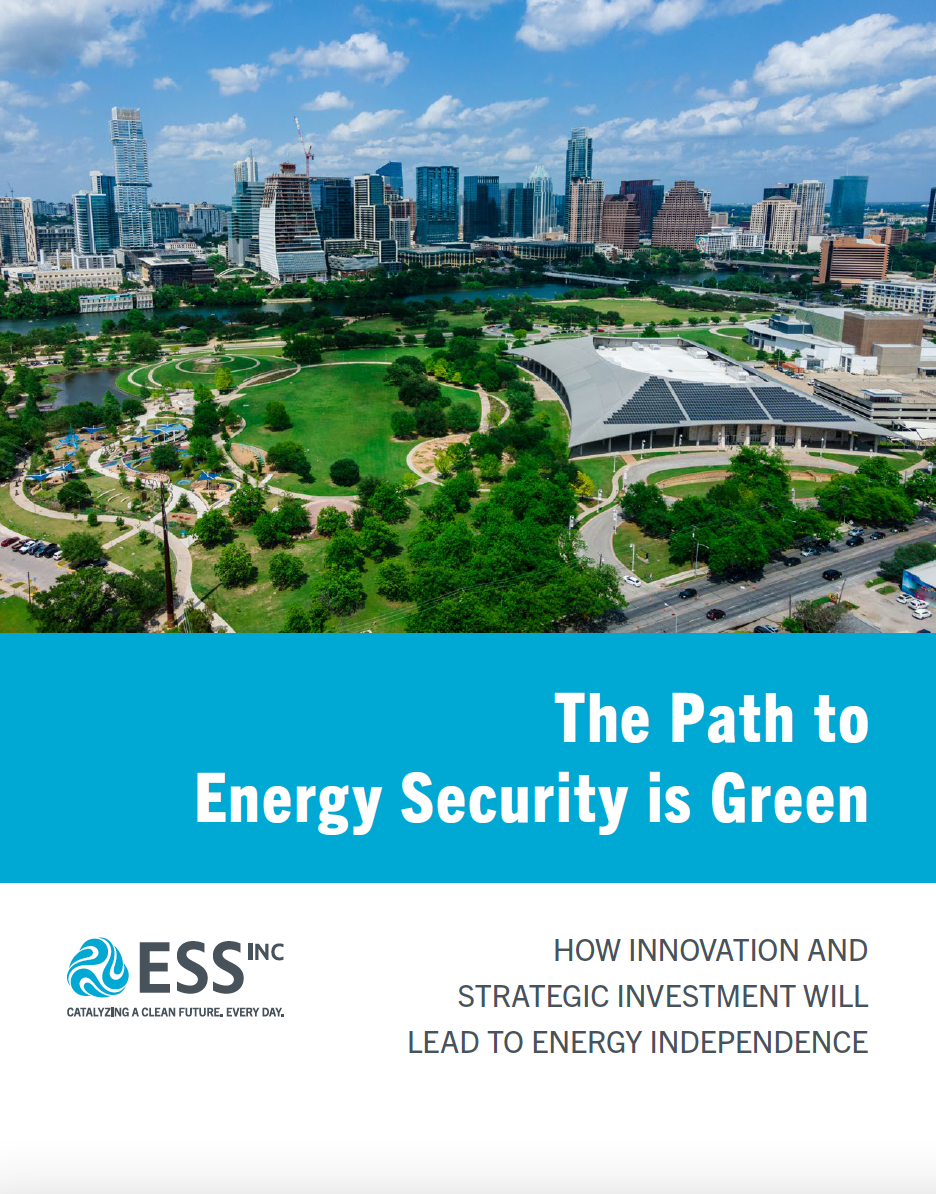 The path to energy security is green The path to energy security is green cover image
