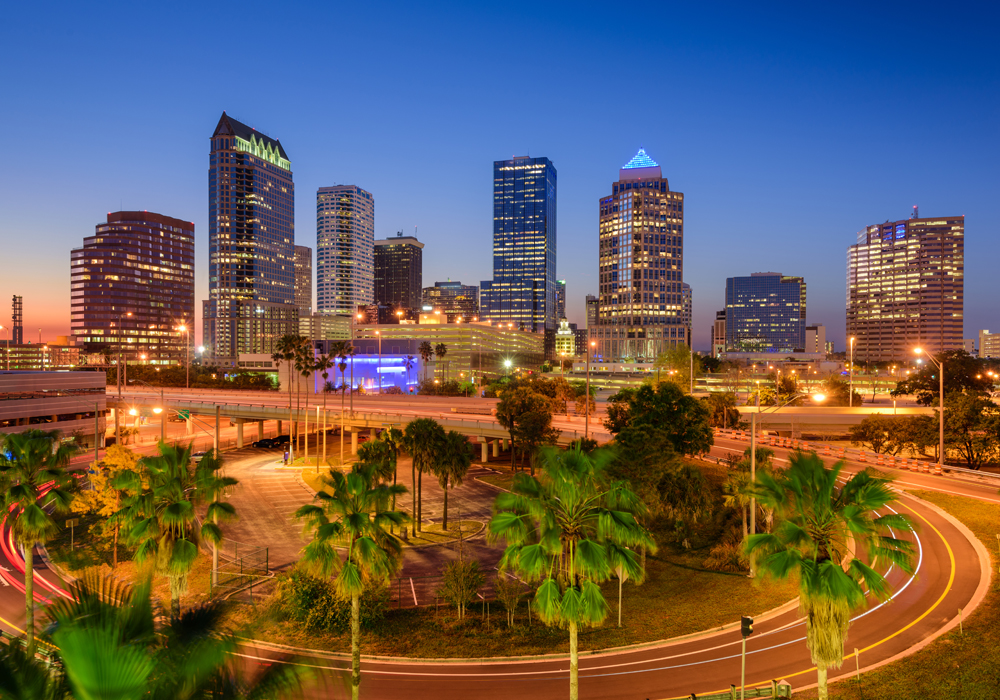 Tampa, florida skyline at night image
